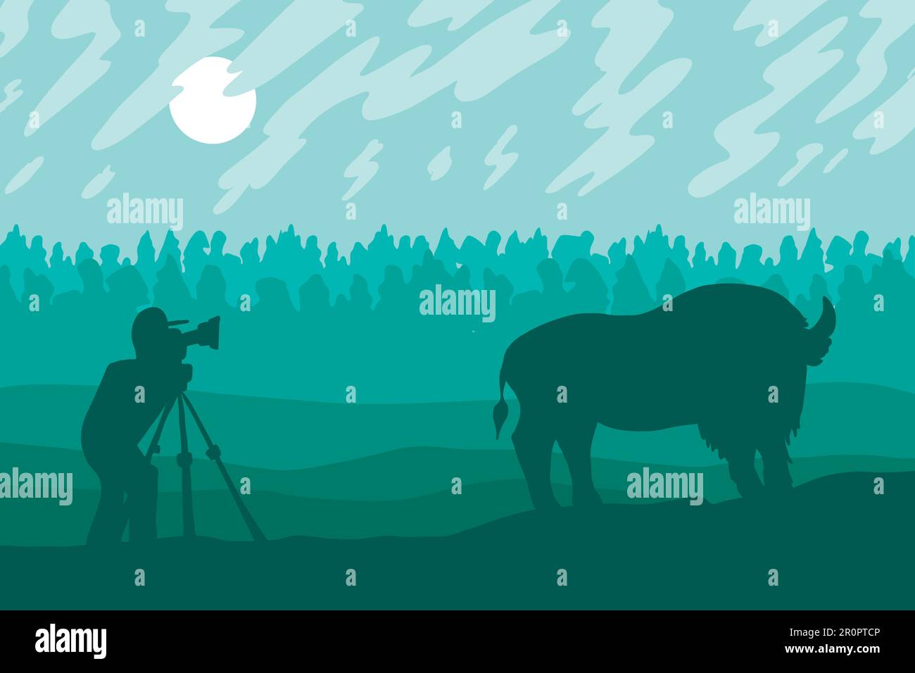 Photographer photographs bison in the forest reserve. Vector Stock Vector