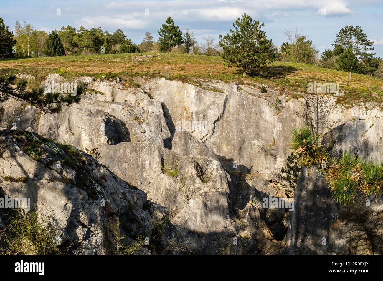 The Fondry-des-chiens is nested in the Viroin-Hermeton natural park near Nismes and is a unique protected site. | Le Fondry des Chiens est un site nat Stock Photo