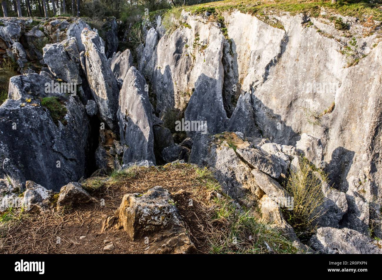 The Fondry-des-chiens is nested in the Viroin-Hermeton natural park near Nismes and is a unique protected site. | Le Fondry des Chiens est un site nat Stock Photo