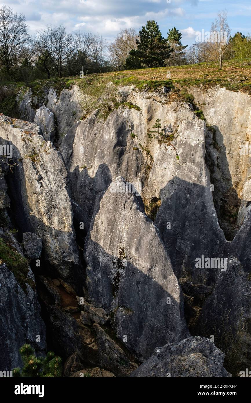 The Fondry-des-chiens is nested in the Viroin-Hermeton natural park near Nismes and is a unique protected site. | Le Fondry des Chiens est un site nat Stock Photo