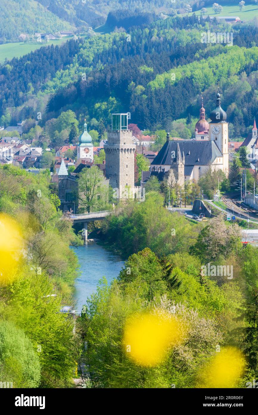 arbeitsamt waidhofen ybbs