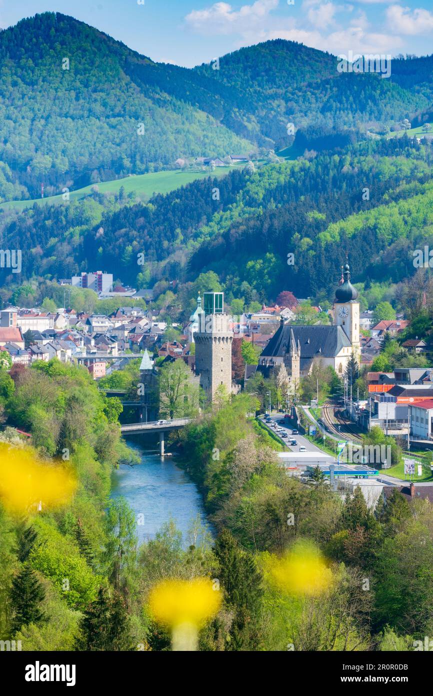 arbeitsamt waidhofen ybbs