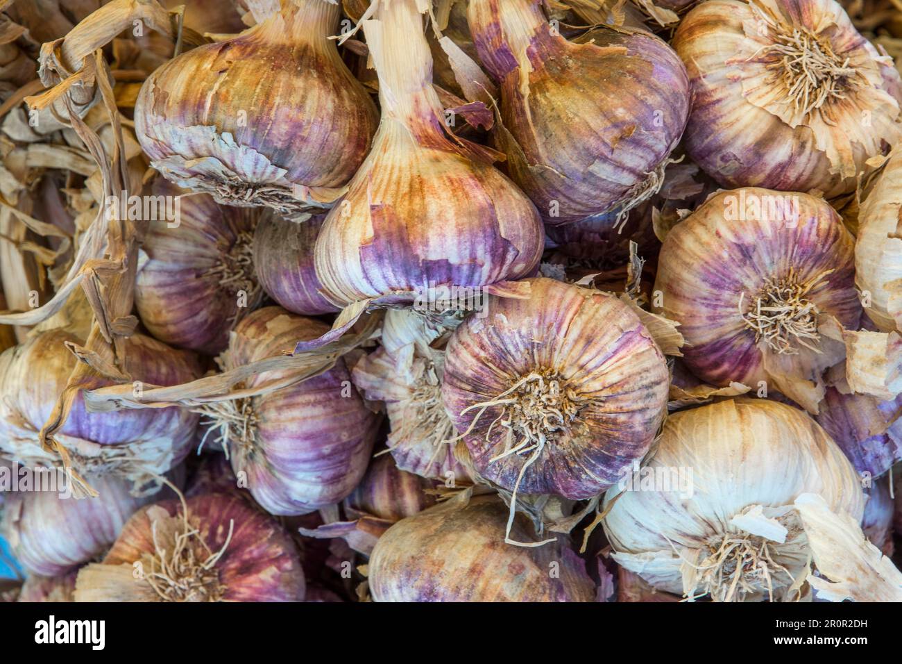 Garlic, bulb, stall, market stall, market, Var, Provence
