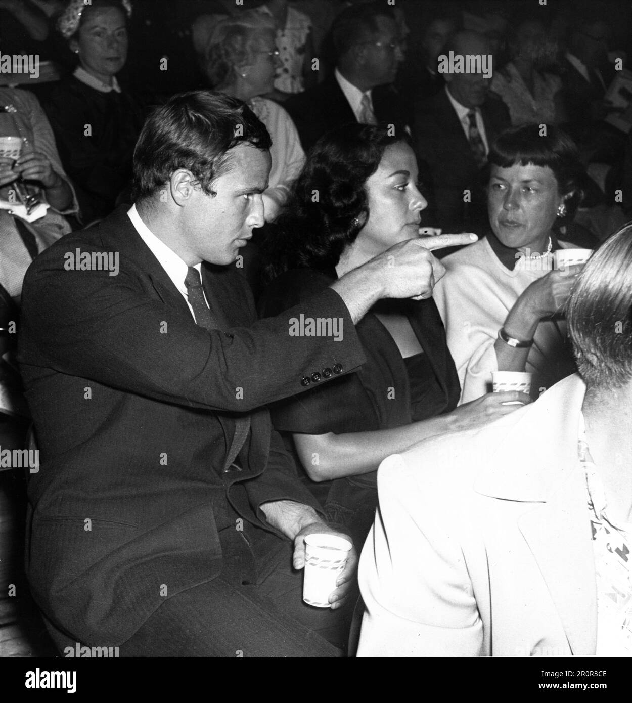 Jocelyn Brando – cracked rear viewer, image size:1250x1390