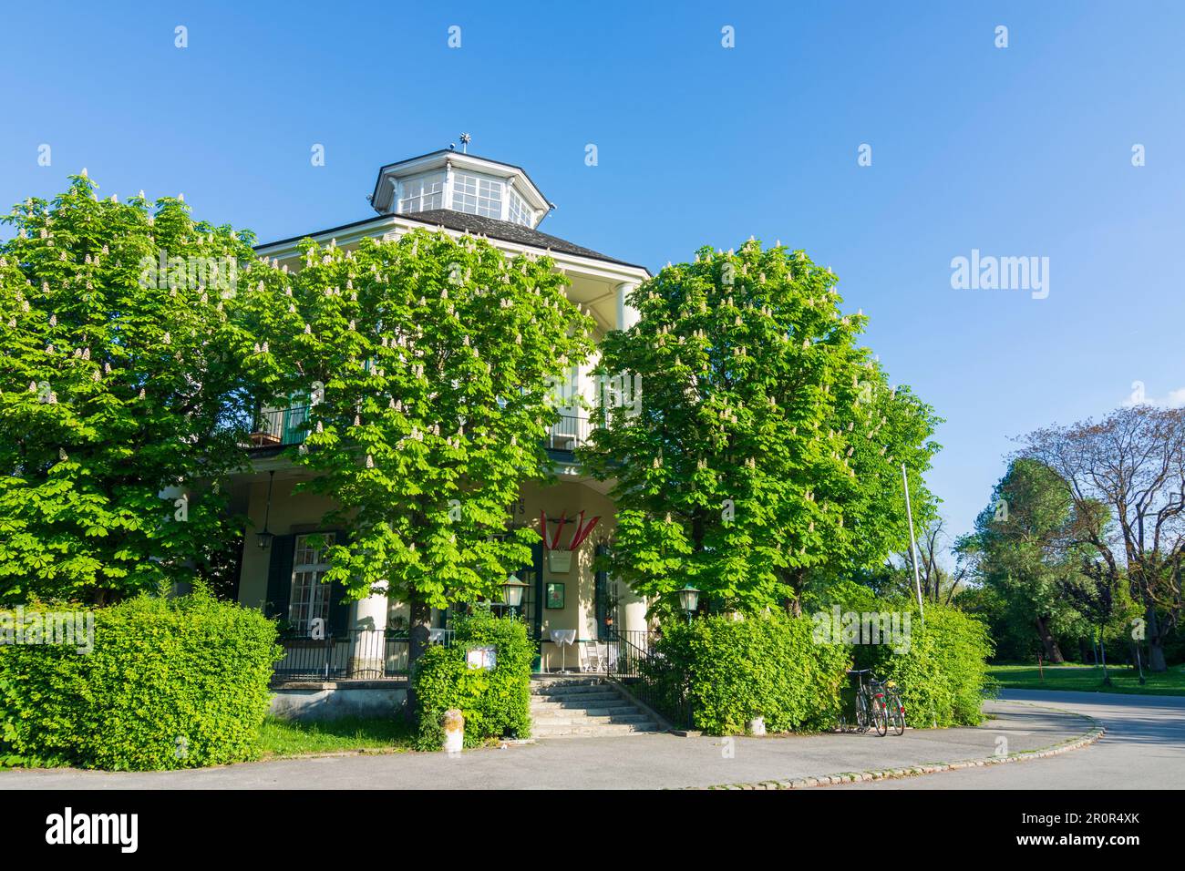Vienna: restaurant Lusthaus in park Prater, flowering chestnut trees in 02.  Leopoldstadt, Wien, Austria Stock Photo - Alamy