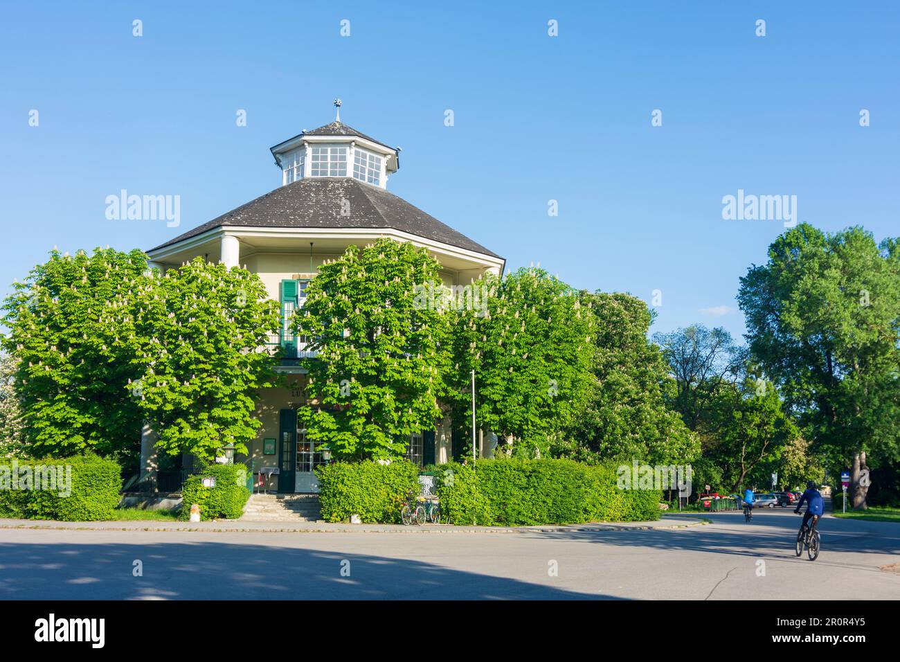 Vienna: restaurant Lusthaus in park Prater, flowering chestnut trees in 02.  Leopoldstadt, Wien, Austria Stock Photo - Alamy