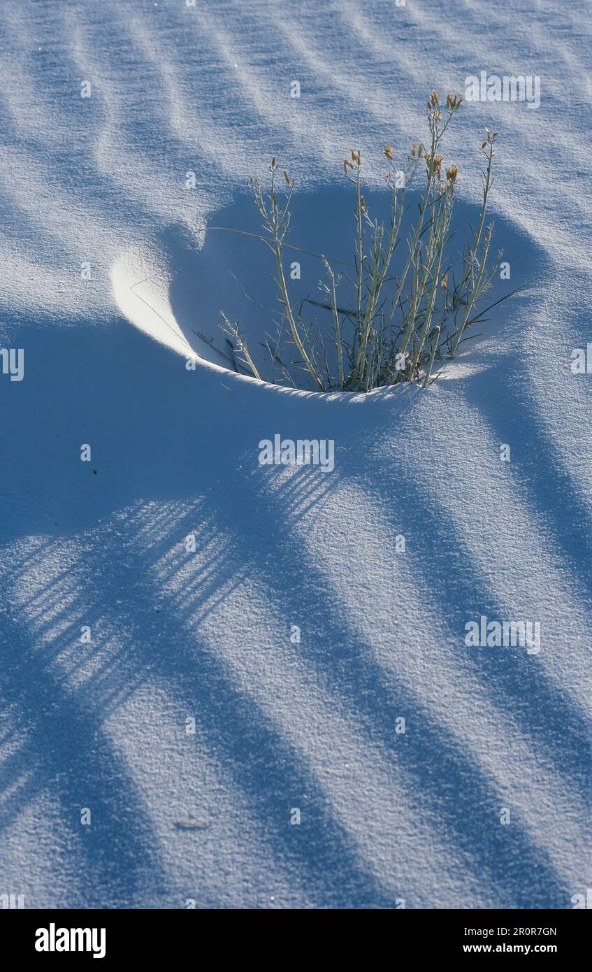 Sand pattern with circular hole Stock Photo Alamy