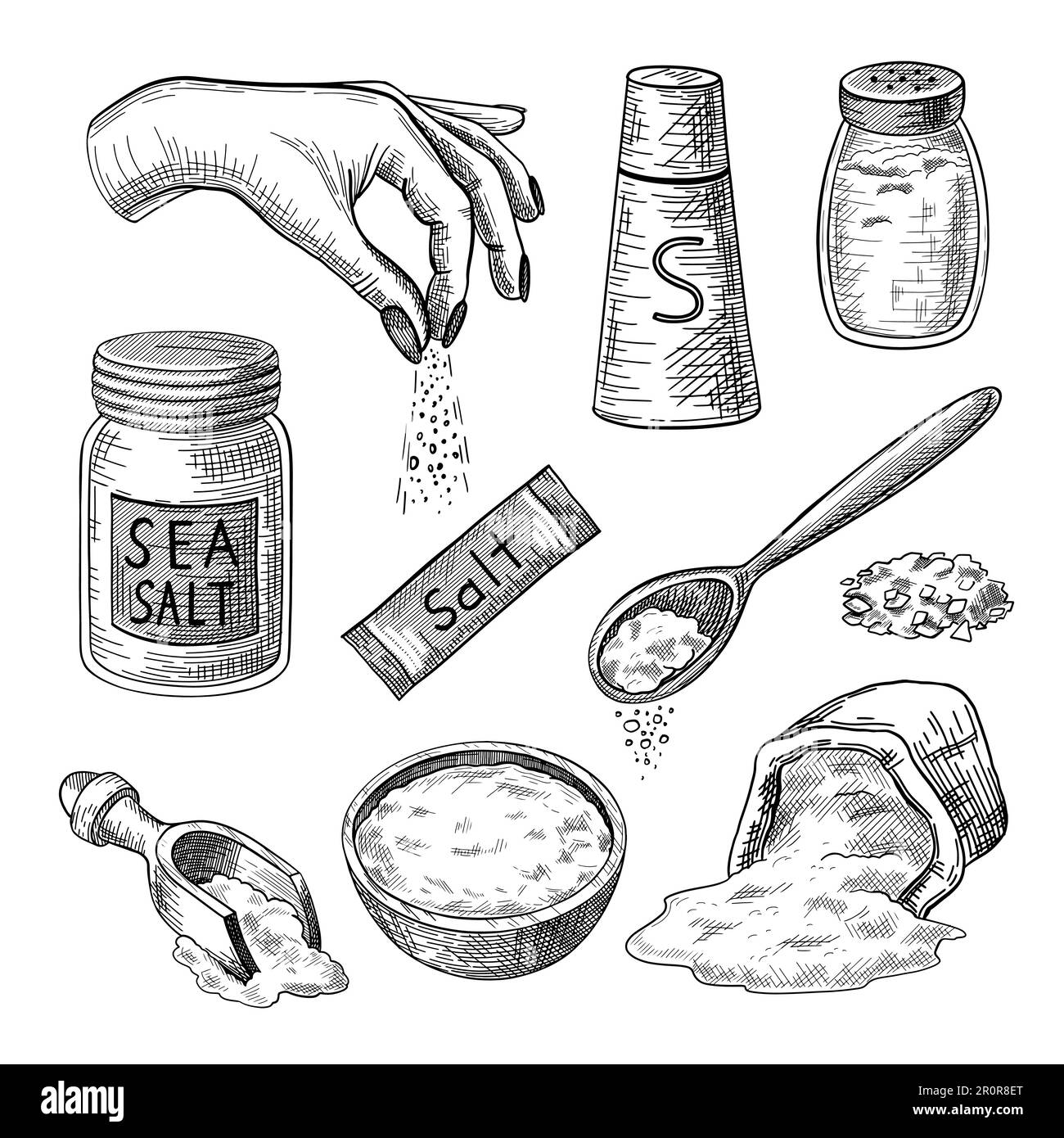 Sea salt engraved illustrations set Stock Vector Image & Art Alamy