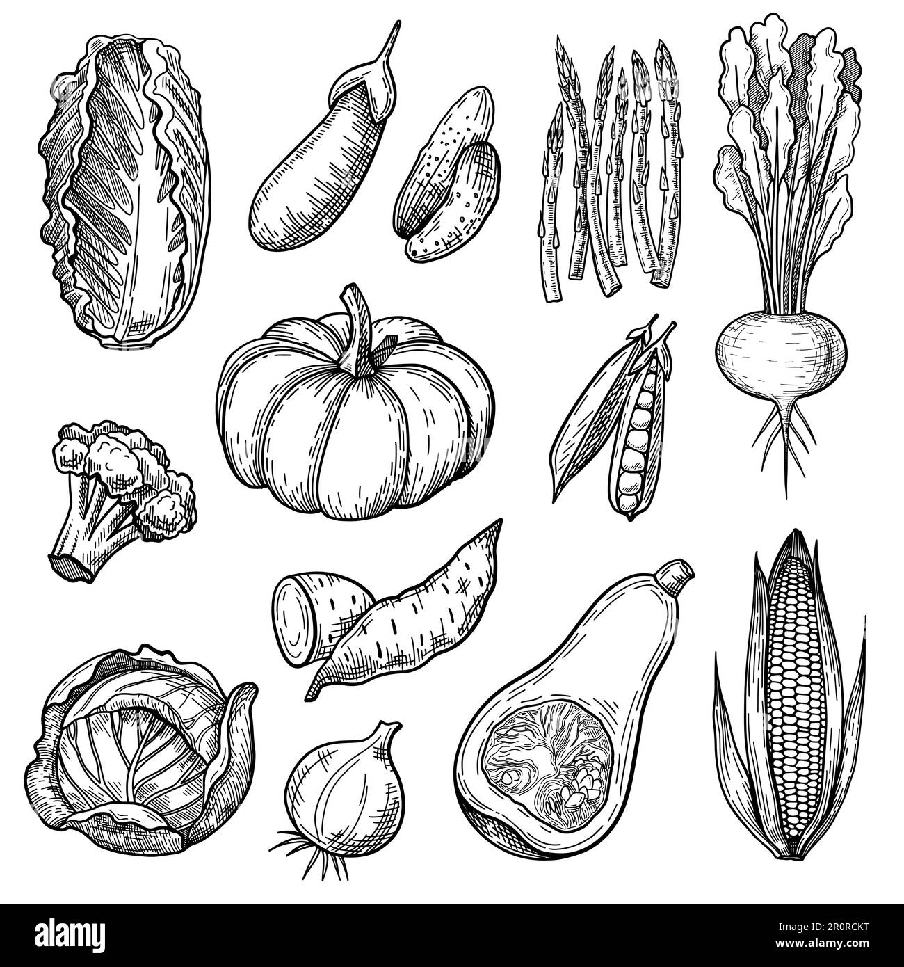 Broccoli sketch Black and White Stock Photos & Images Alamy