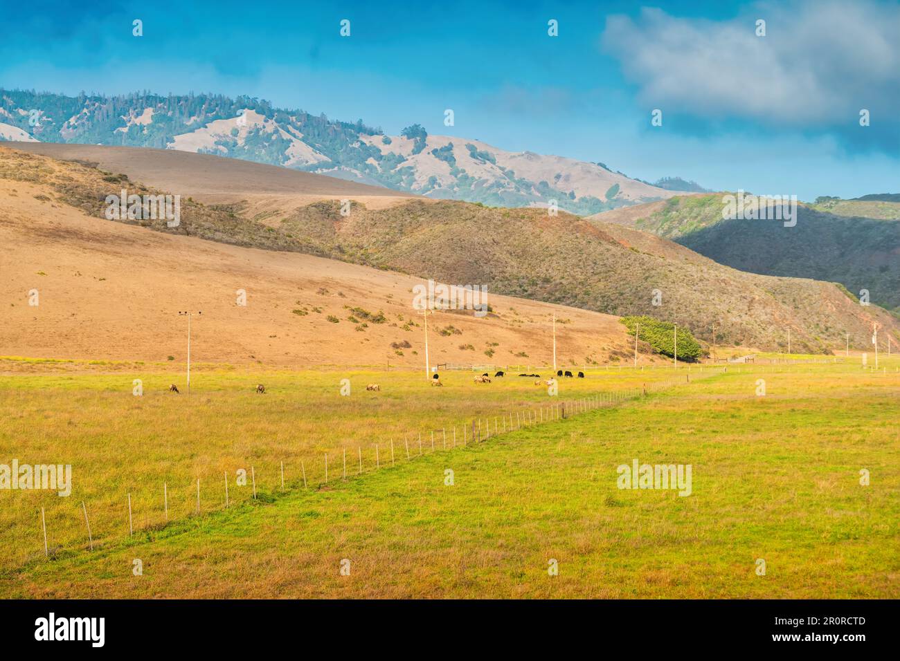 Landscape with ranch near San Simeon, California, USA Stock Photo