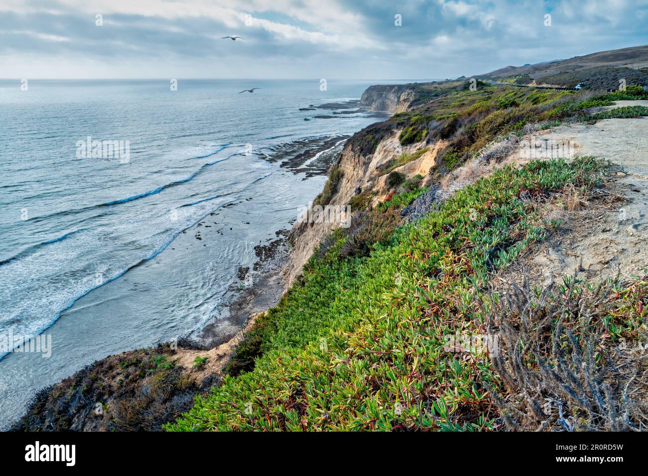 Cliffs Beach near Davenport, Santa Cruz County, California, USA Stock Photo