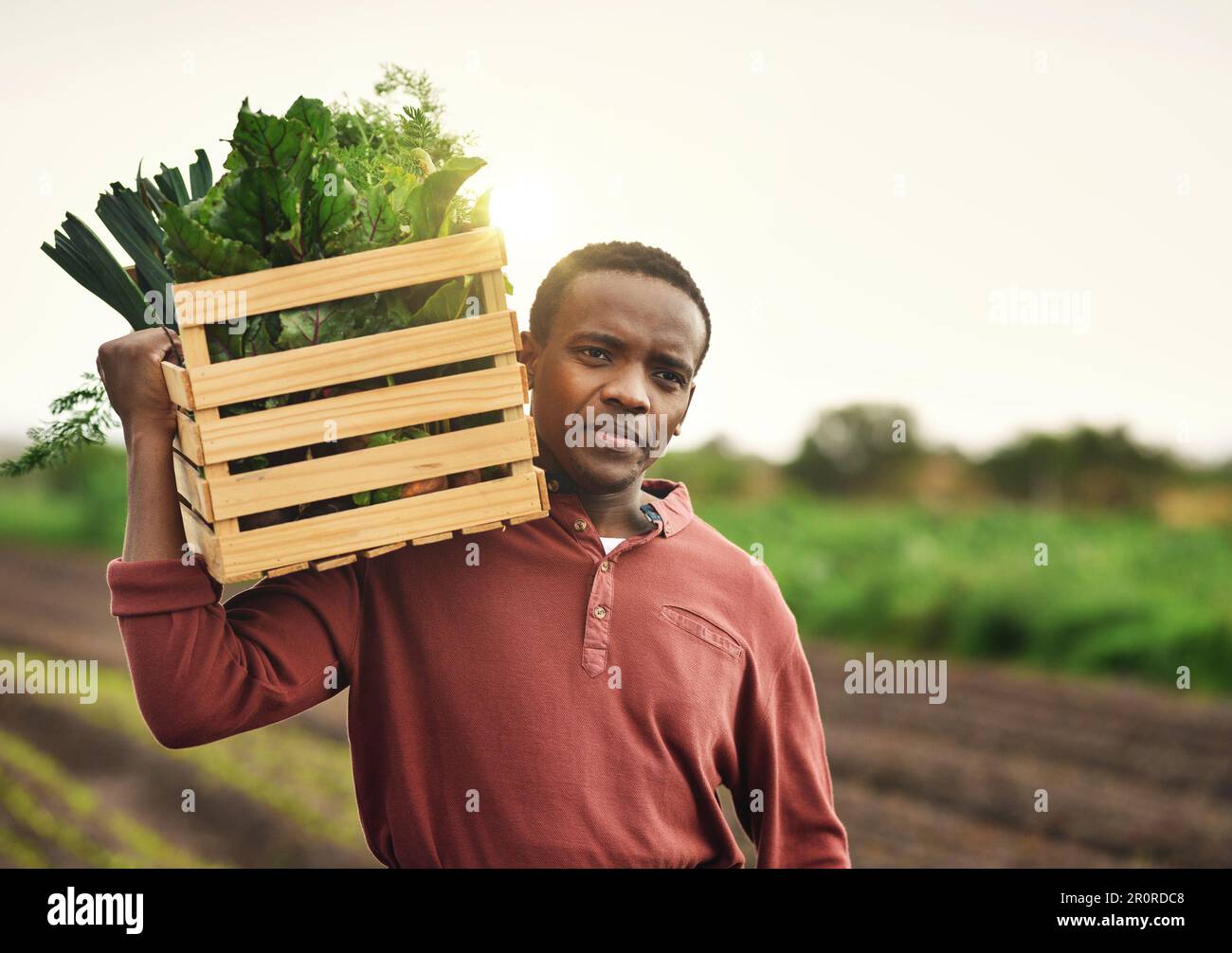 Mother natures harvest. a handsome young male farmer carrying a crate of fresh produce. Stock Photo