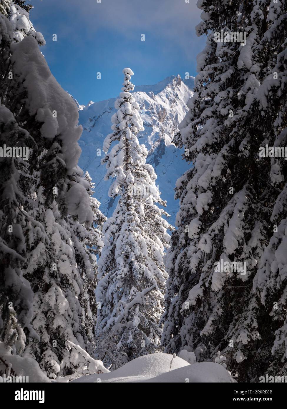 A stunning winter scene in the French Alps, featuring a blanket of ...