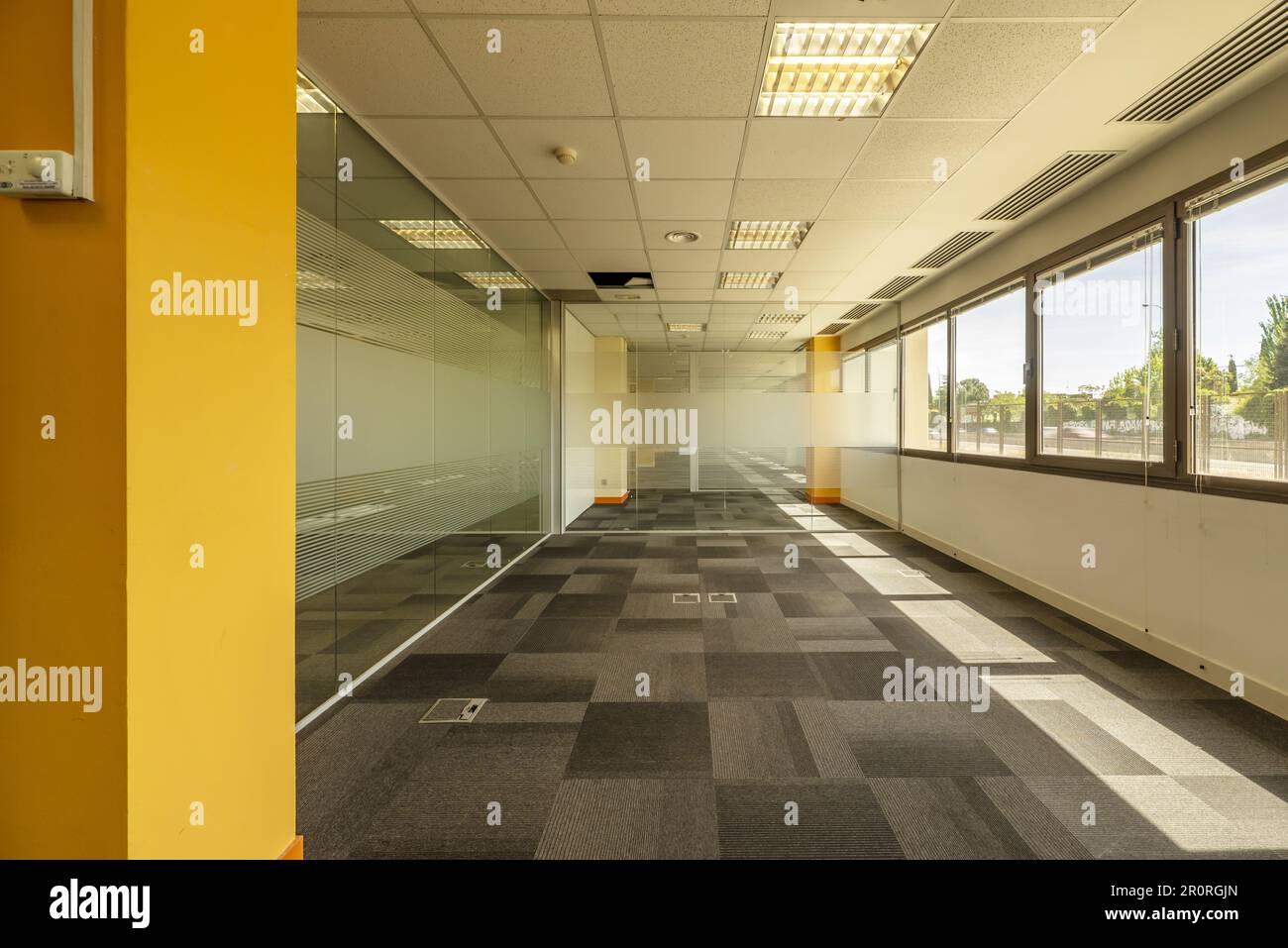 Interior of an office building with open spaces divided with tempered glass partitions and floors covered with gray carpets Stock Photo