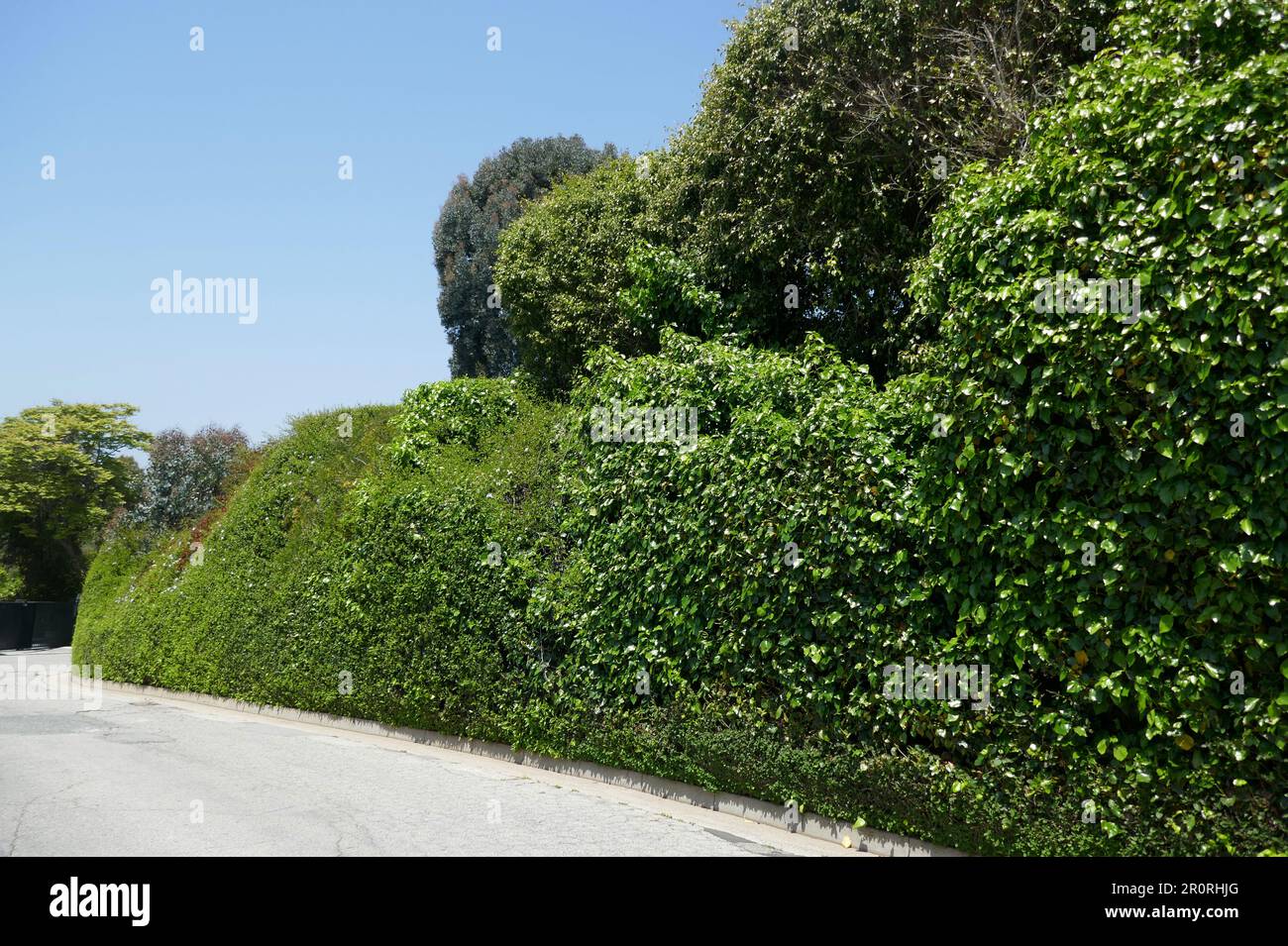 Los Angeles, California, USA 8th May 2023 Singers LaVerne Andrews Patty Andrews and Maxene Andrews of the Andrews Sisters Former Home/house on N. Saltair Avenue on May 8, 2023 in Los Angeles, California, USA. Photo by Barry King/Alamy Stock Photo Stock Photo
