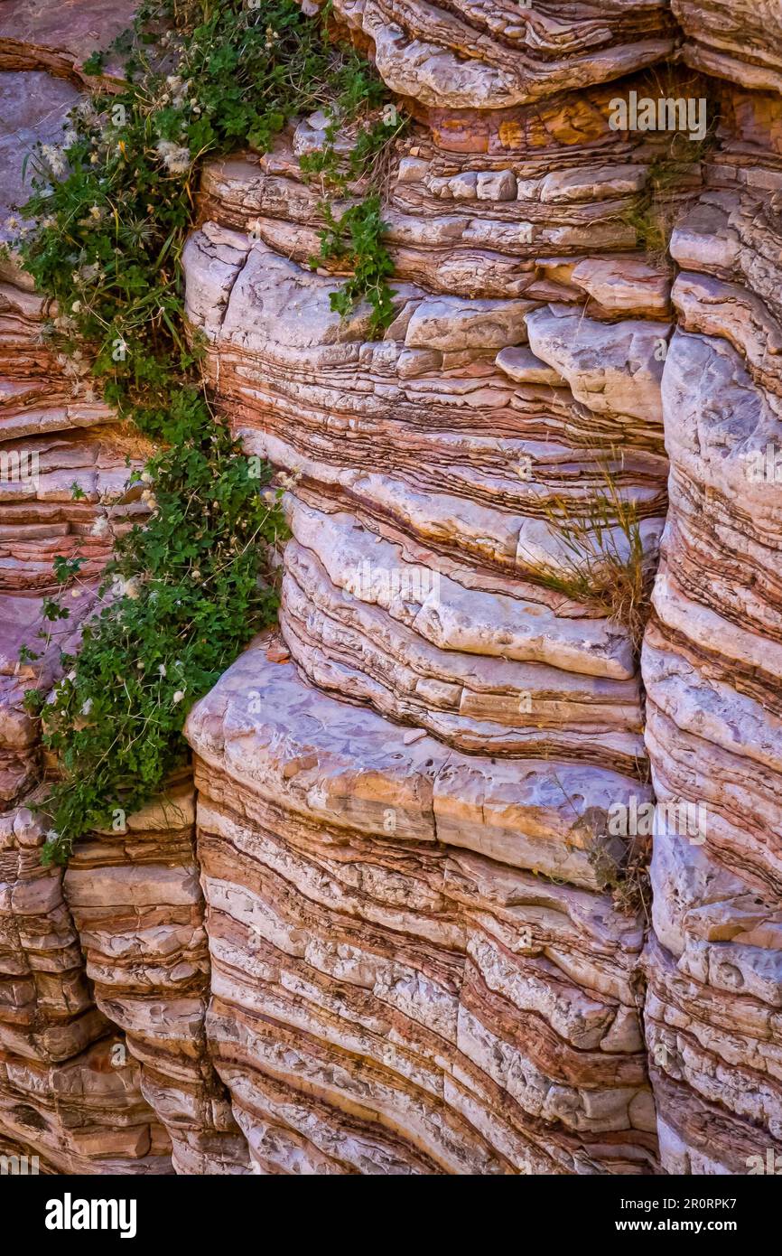 Stratified Canyon Wall at Ernst Tinaja, Big Bend National Park,Texas Stock Photo