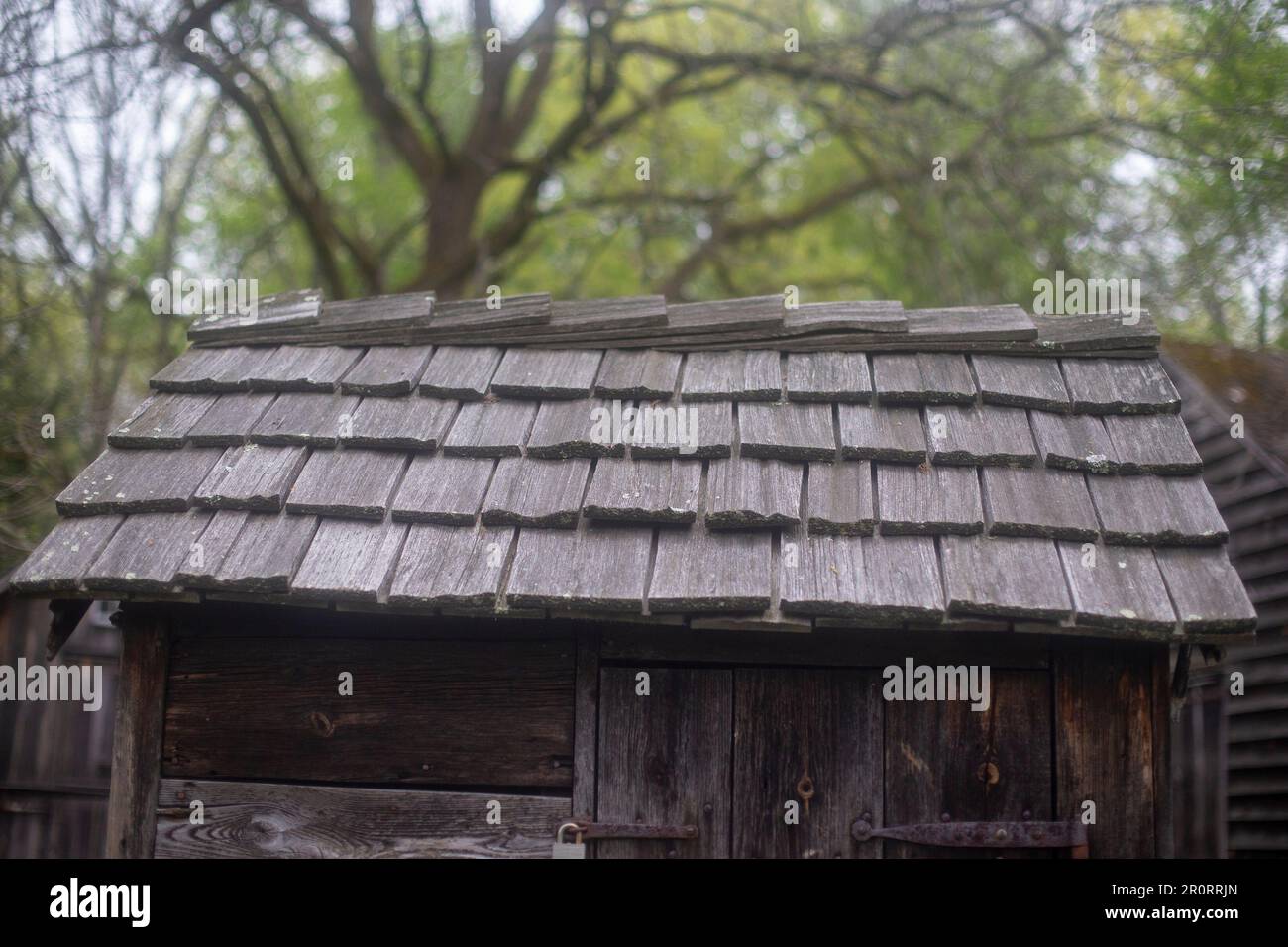 A cedar shake roof on an old farm building Stock Photo
