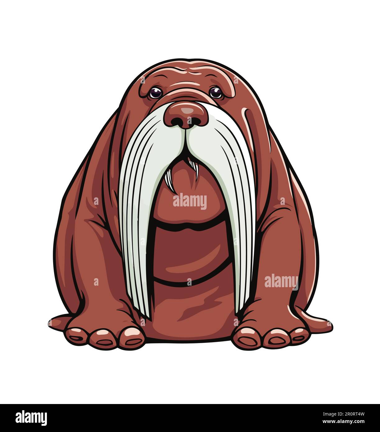 Walrus Cartoon Animal Illustration Color Stock Vector Image & Art - Alamy