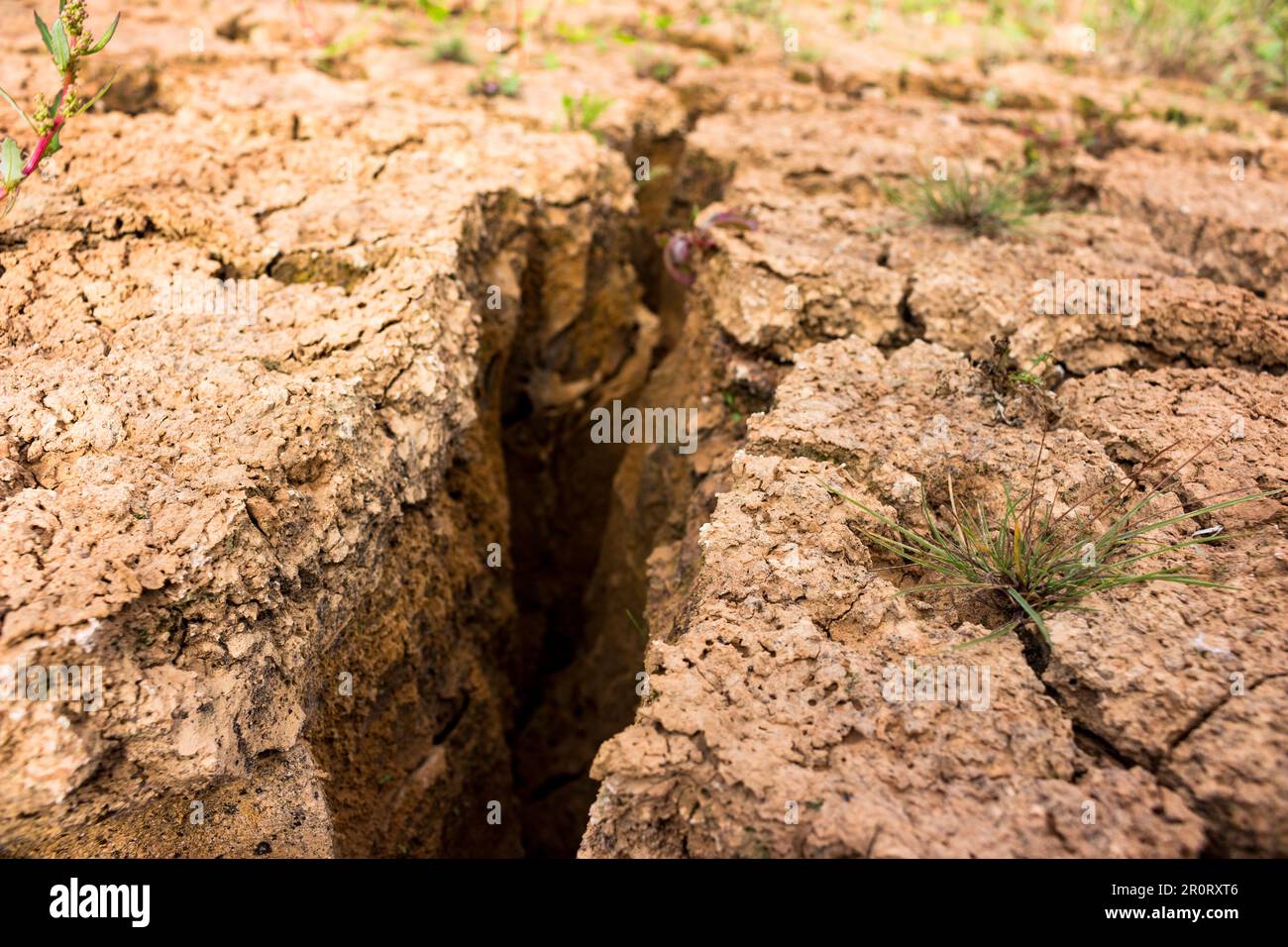 Crack in clay soil formed after water dries up closeup Stock Photo Alamy