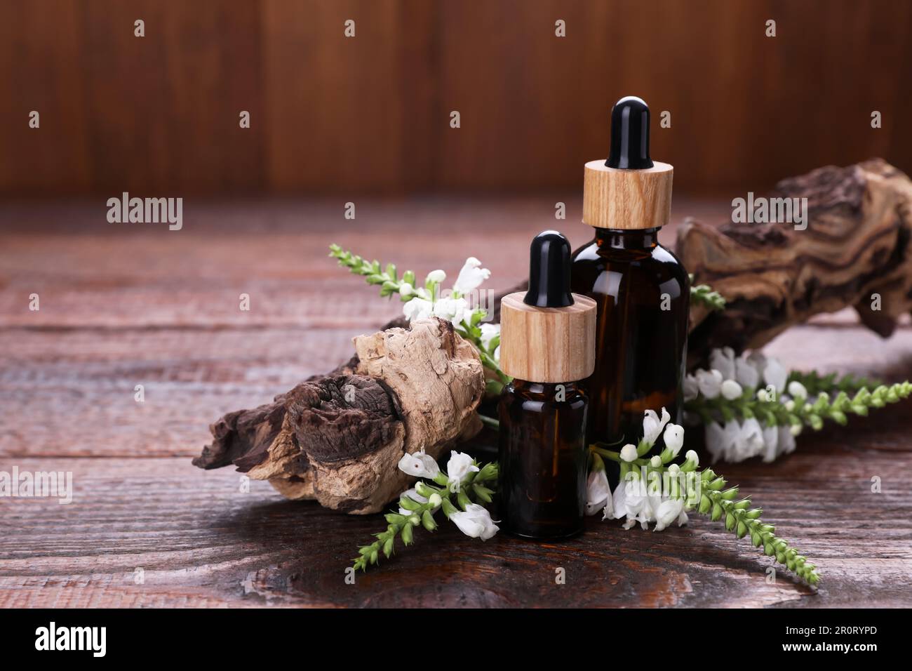 Essential oils, flowers and tree branch on wooden table, closeup. Space for text Stock Photo