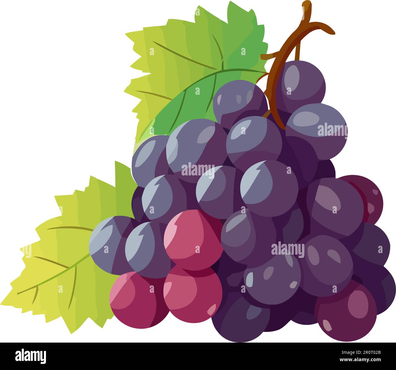 Ripe grape bunch illustration Stock Vector Image & Art - Alamy