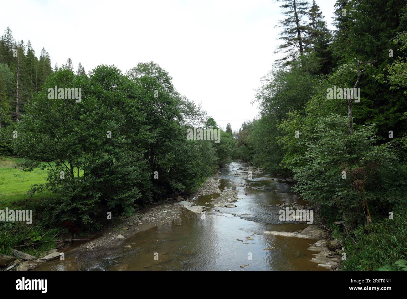 Picturesque view of river surrounded by green plants in forest Stock Photo