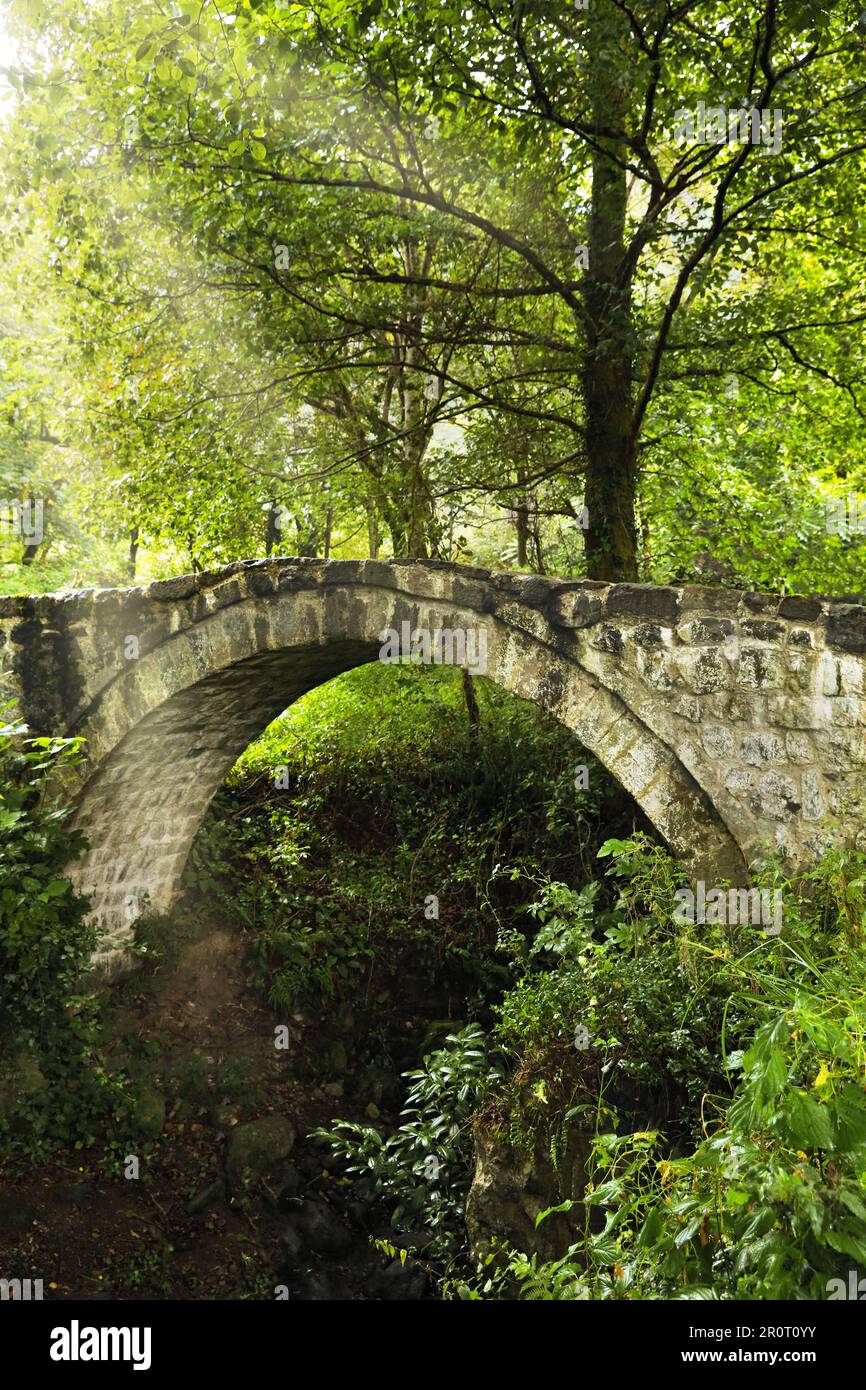 Beautiful old stone bridge and green trees in park Stock Photo - Alamy