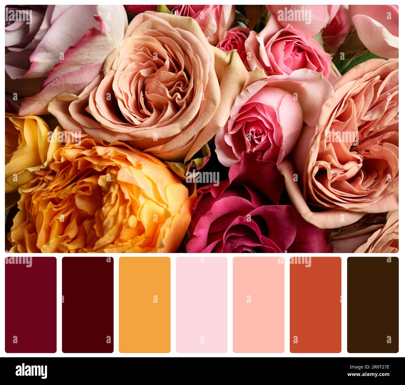 Beautiful fresh flowers and color palette. Collage Stock Photo Alamy