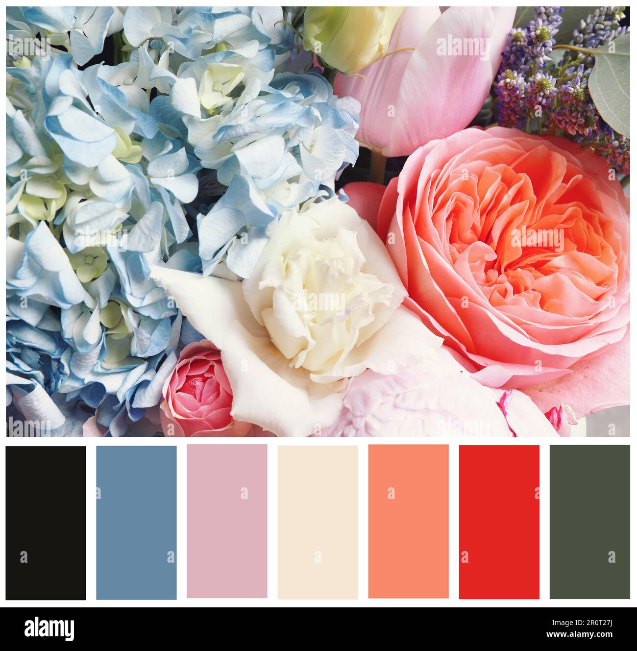 Beautiful fresh flowers and color palette. Collage Stock Photo Alamy