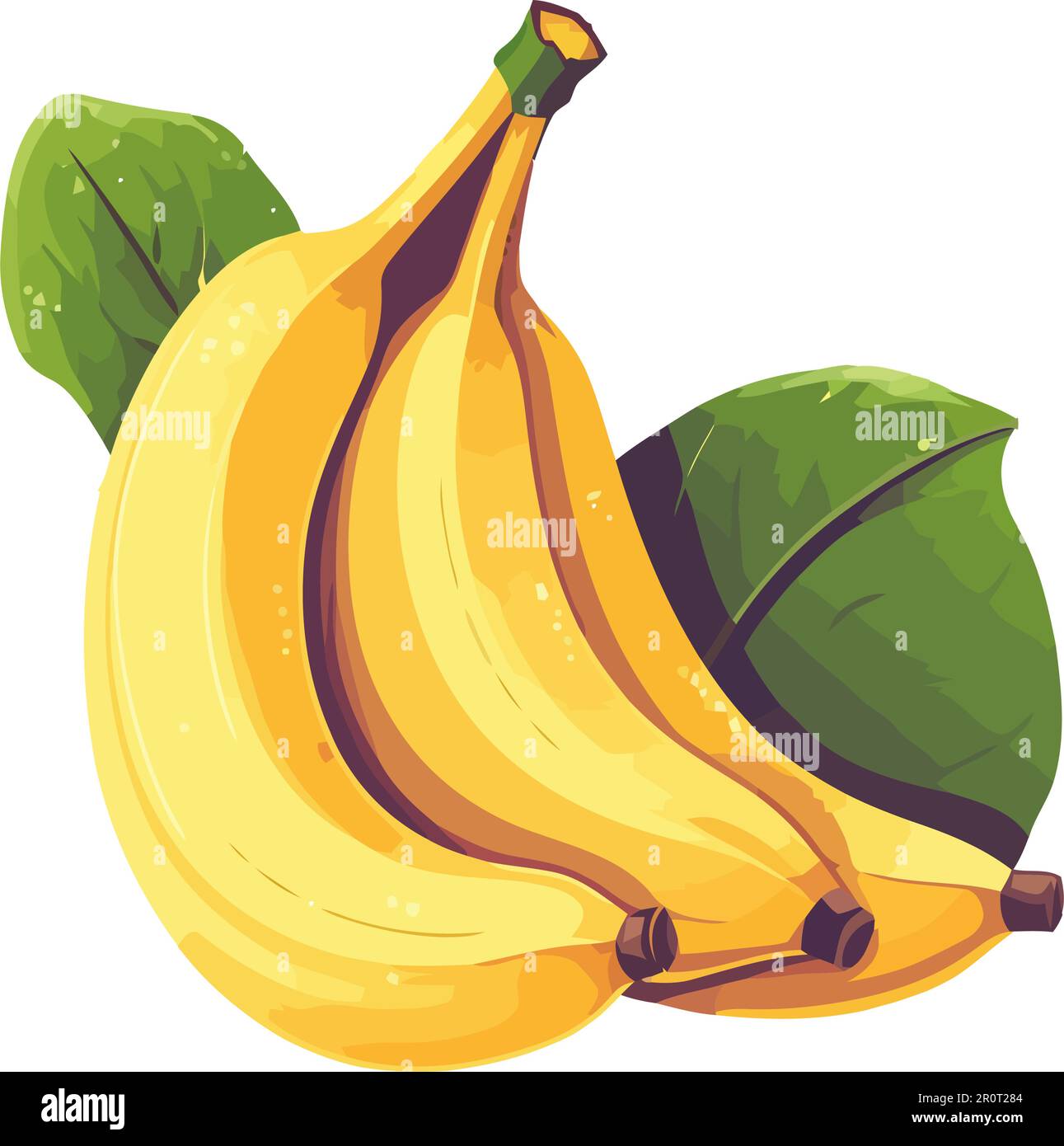 https://c8.alamy.com/comp/2R0T284/ripe-banana-fresh-and-organic-healthy-snack-2R0T284.jpg