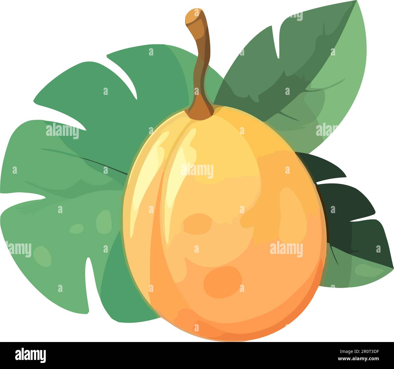 Ripe mango fruit, fresh and juicy Stock Vector Image & Art - Alamy
