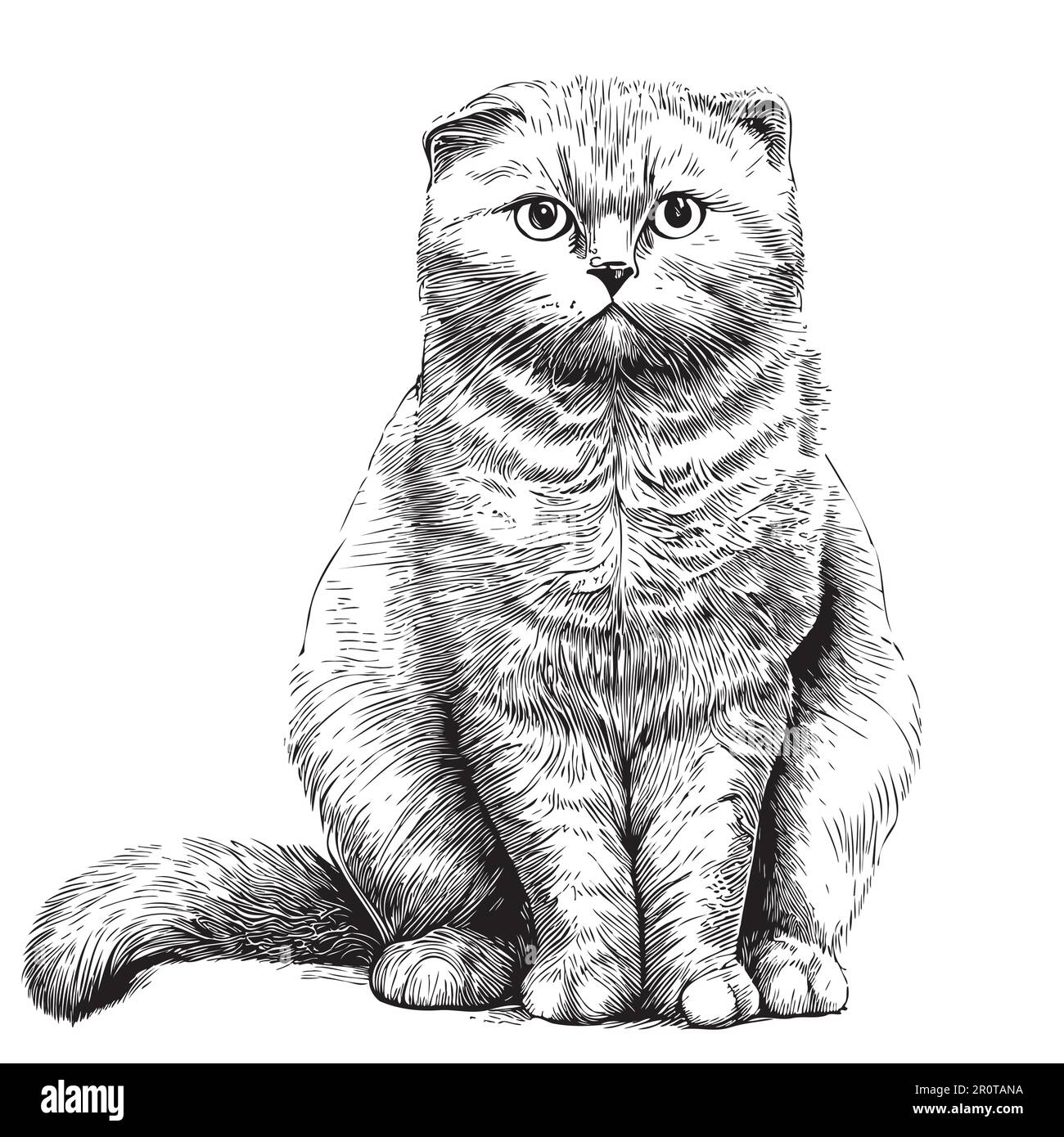 Scottish fold cat hand drawn sketch in doodle style illustration Stock Vector