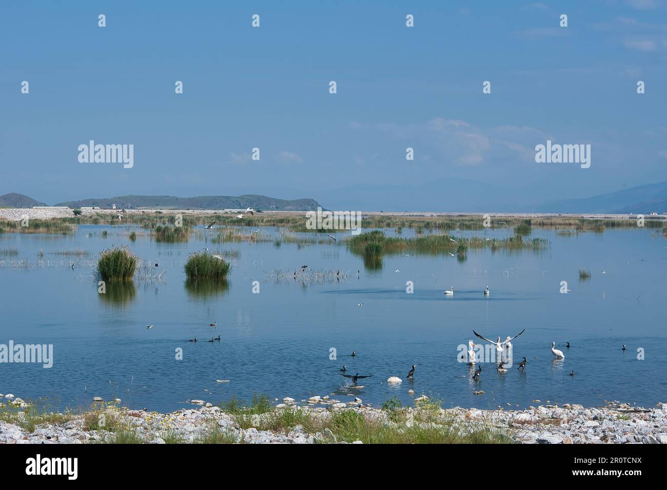 Lake Karla, calm and beautiful lake, Greece, a unique wetland, with