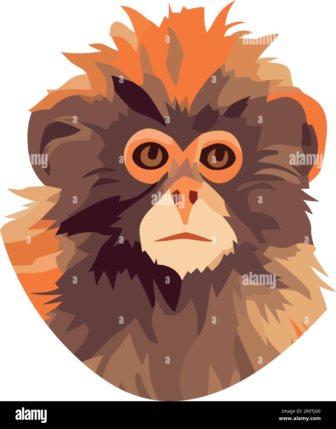 Cute monkey sitting in tropical rainforest nature Stock Vector Image ...