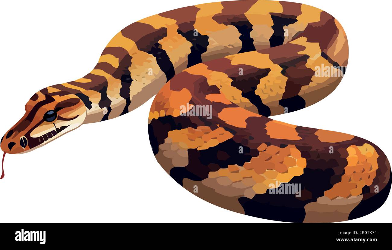 viper crawling in tropical rainforest foliage Stock Vector Image & Art