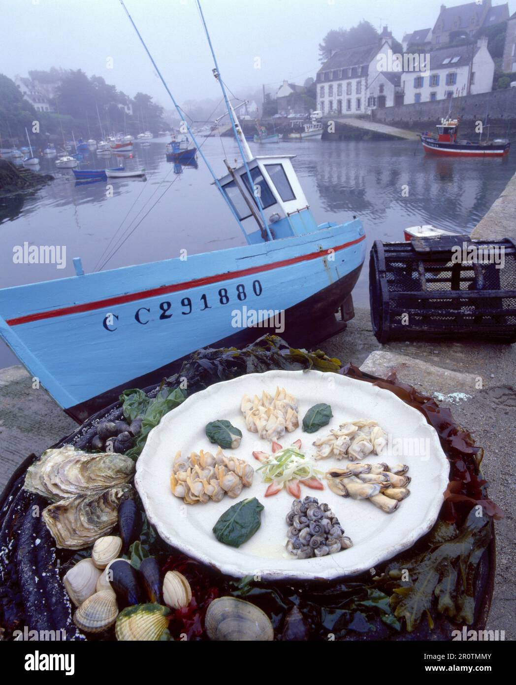 tray of shellfish Stock Photo - Alamy