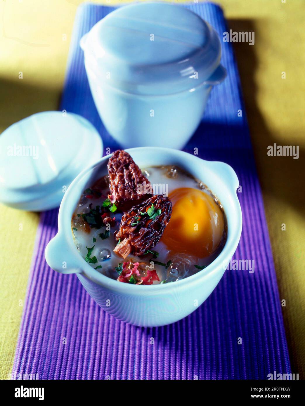 Coodled egg with morels Stock Photo Alamy