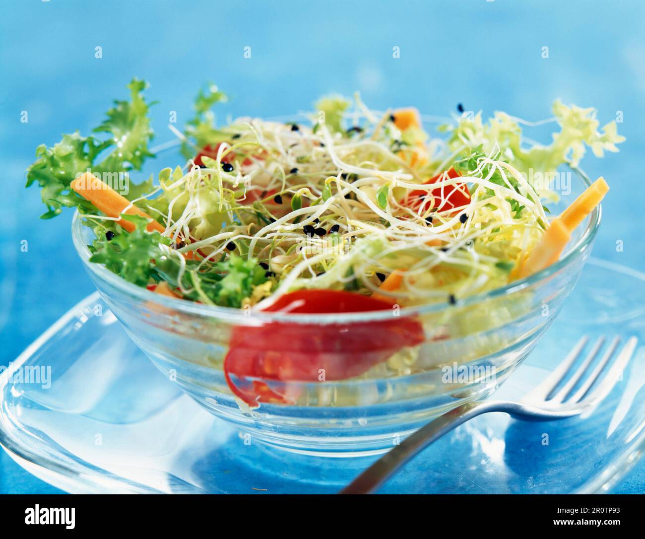 Different types of sprouts salad Stock Photo Alamy