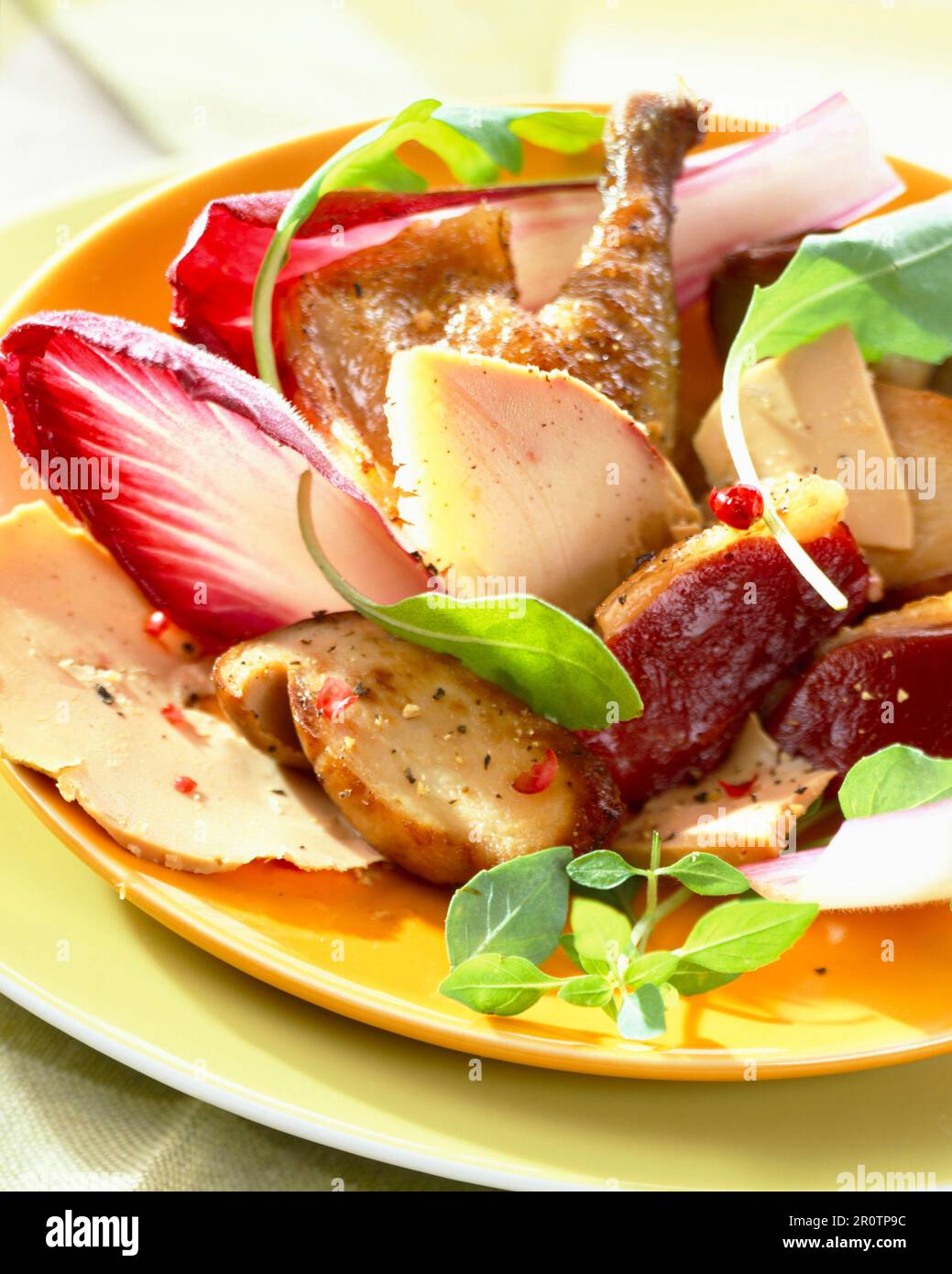 Young pigeon salad with cep mushrooms and foie gras Stock Photo