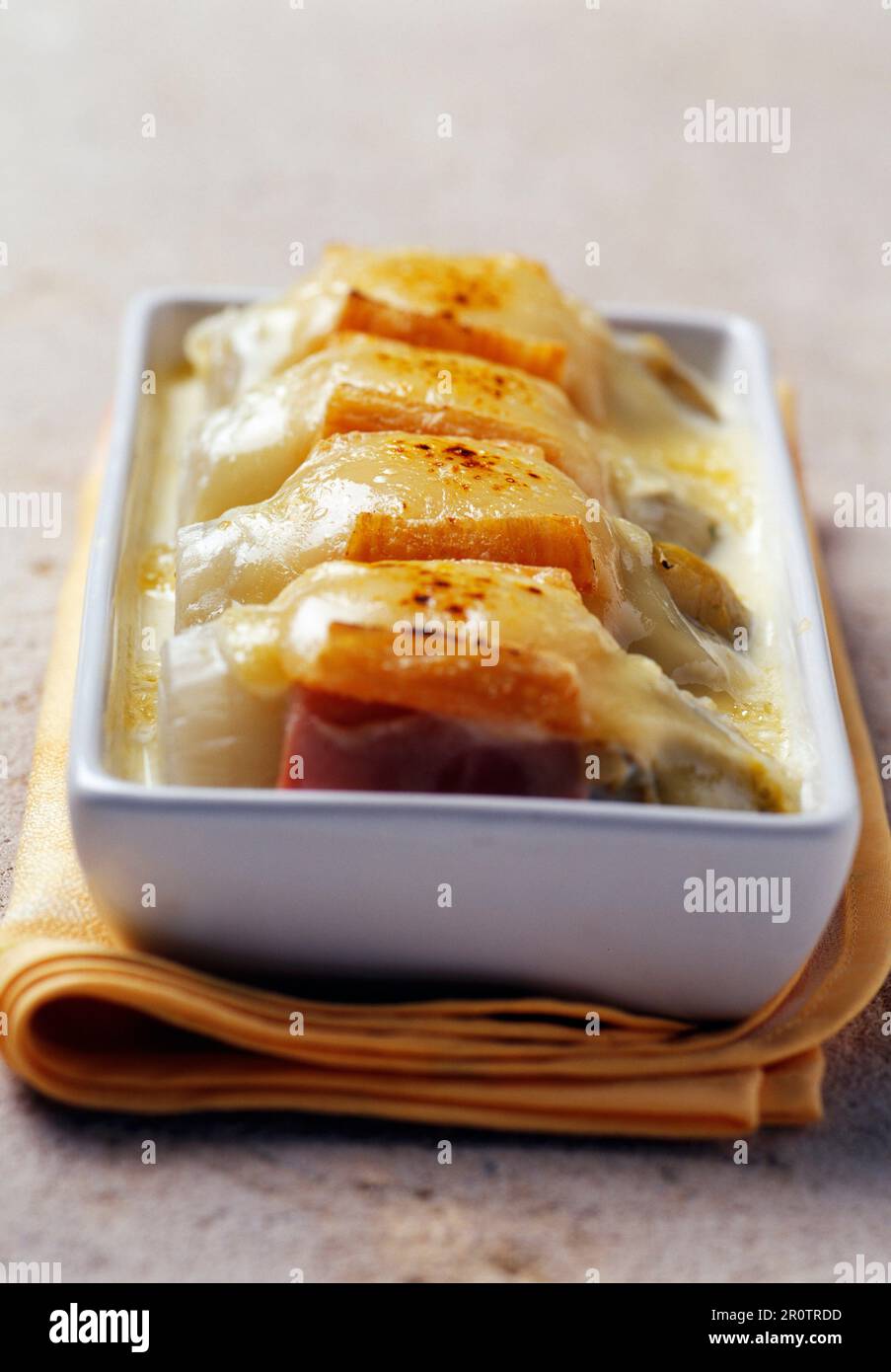 Chicory and Maroilles gratin Stock Photo
