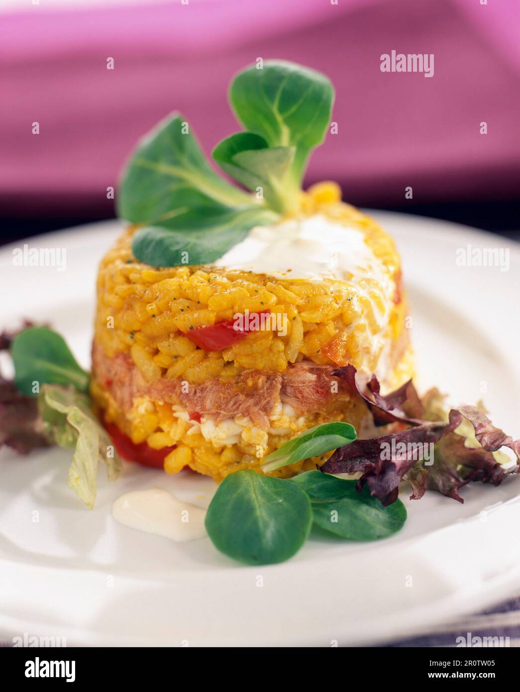 rice and tuna timbale with fresh cream sauce Stock Photo Alamy