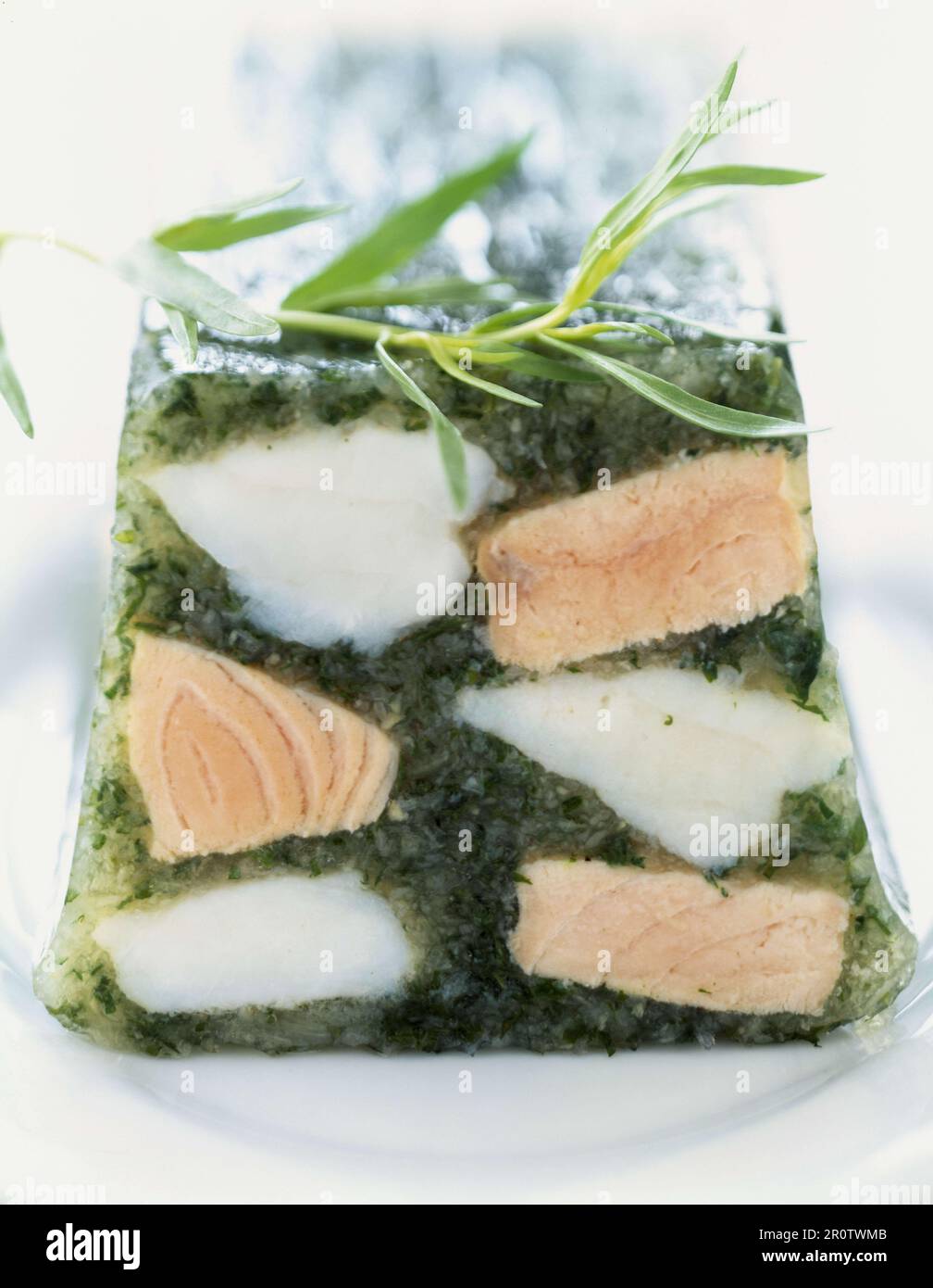 Fish and tarragon terrine Stock Photo Alamy