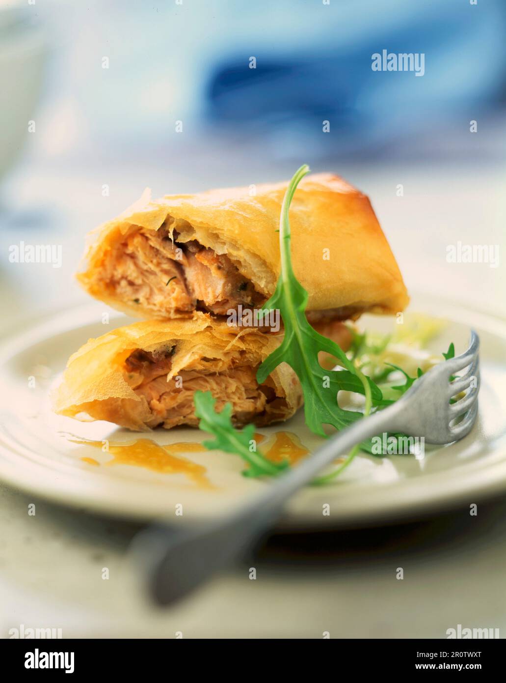 Salmon and ginger crunchy rolls Stock Photo