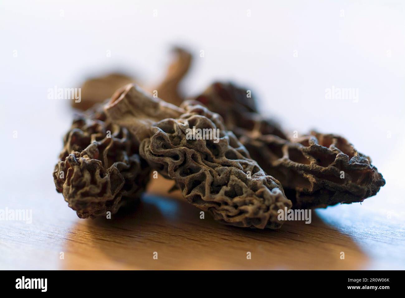 Dried morel mushrooms Stock Photo