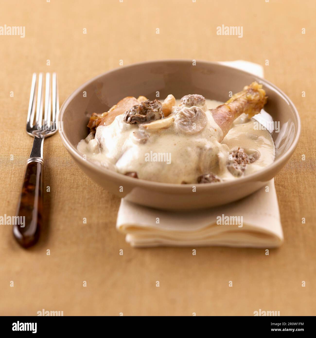 Chicken and morels in yellow wine creamy sauce Stock Photo