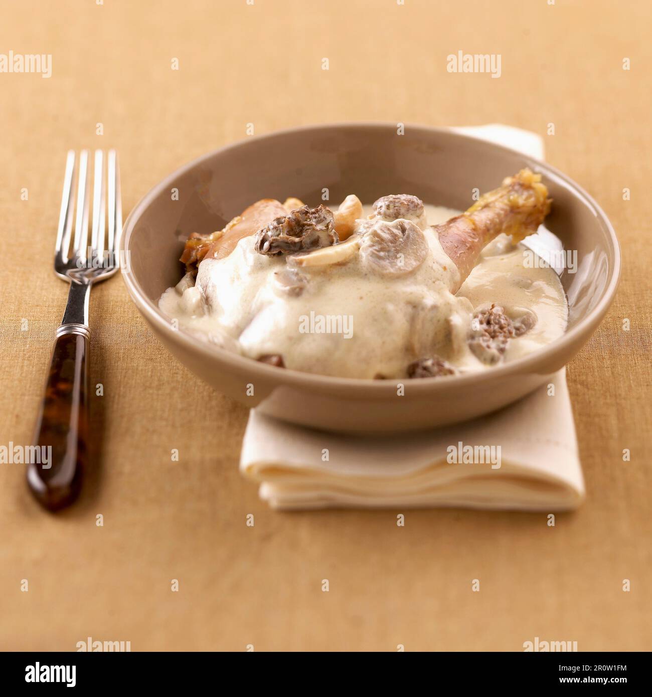 Chicken and morels in yellow wine creamy sauce Stock Photo Alamy