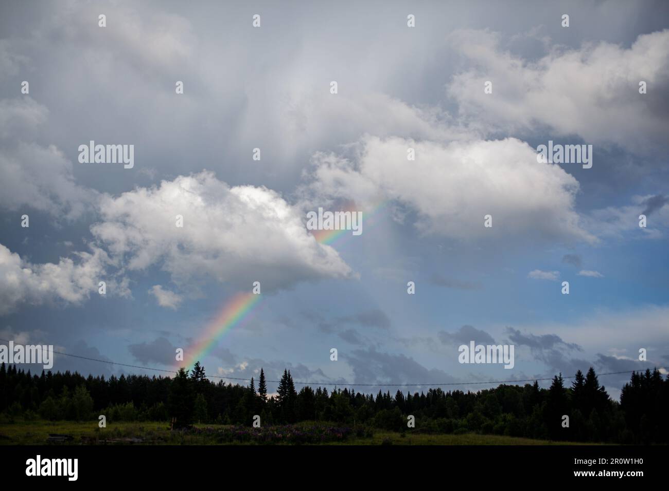 Beautiful rainbow after the rain over the forest in the village ...
