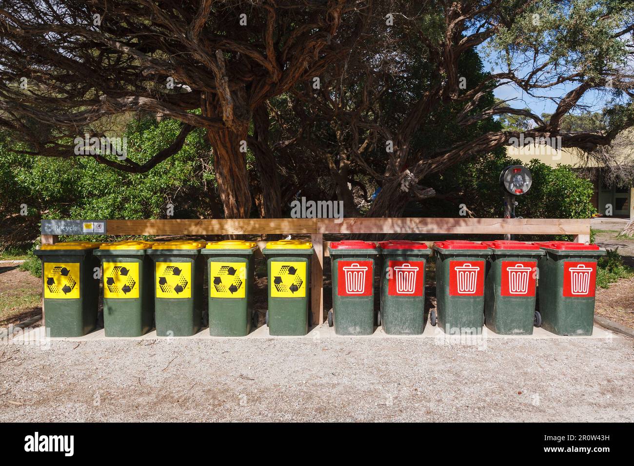 Line up of rubbish and recycle bins Stock Photo Alamy