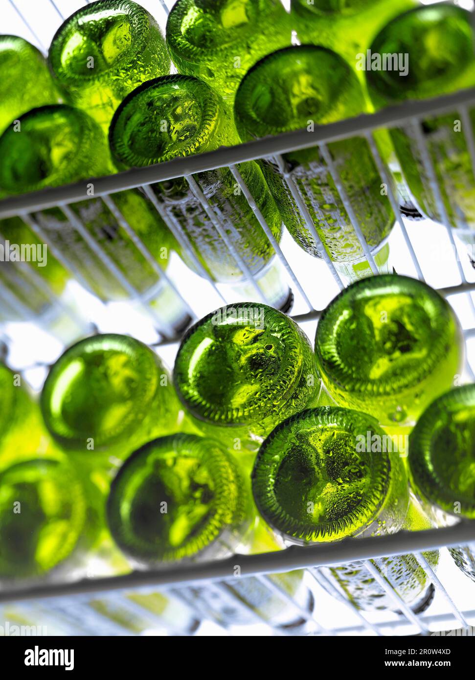 Layers of beer bottles in the refrigerator Stock Photo Alamy