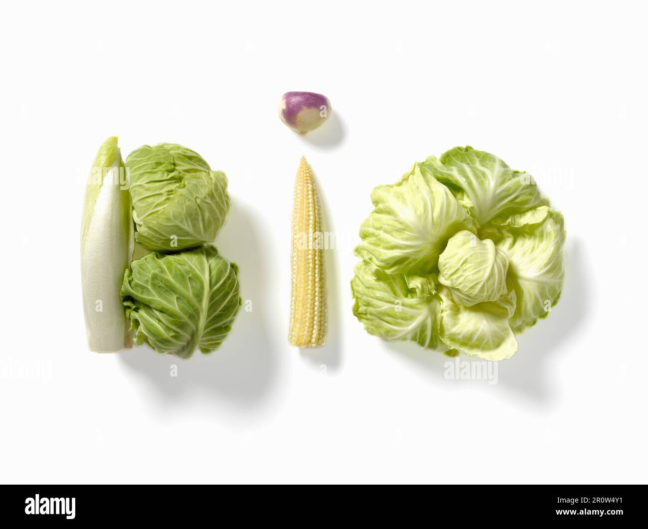 '''Bio'' written with vegetables' Stock Photo